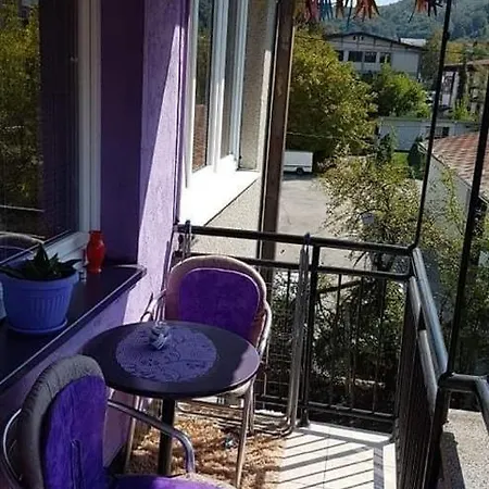 Stan Se Vise Ne Izdaje